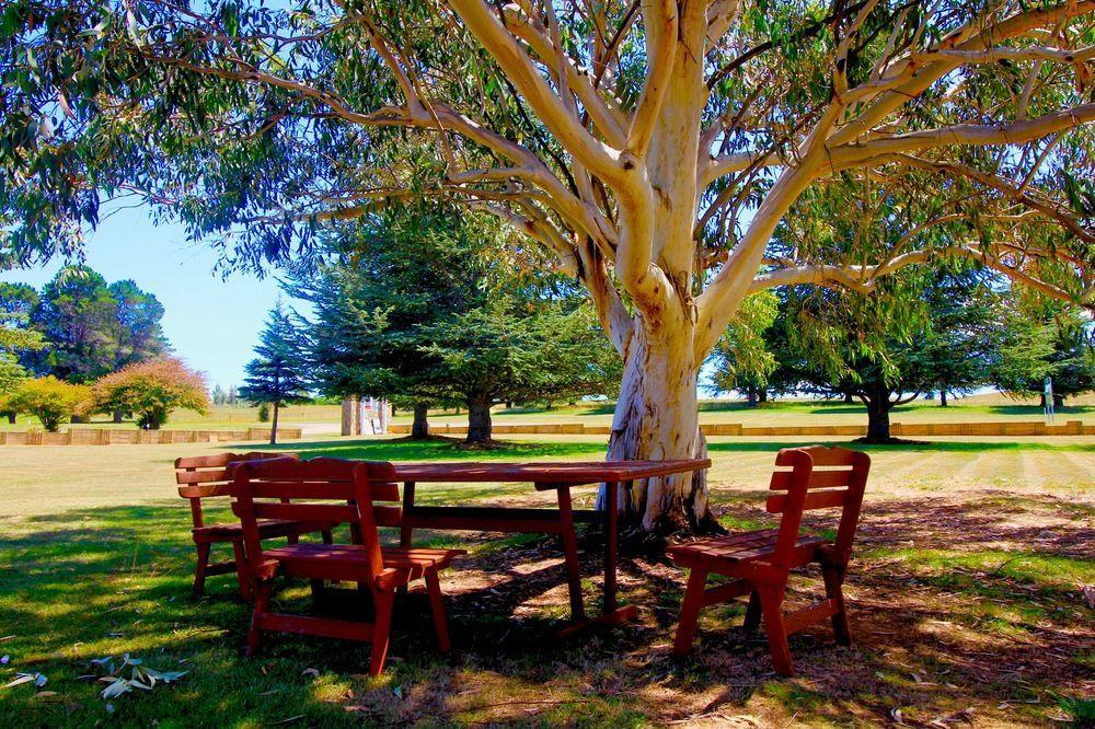Snowy Mountains Resort&Function Centre Adaminaby Zewnętrze zdjęcie